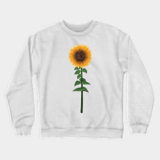 Sun Flower Crewneck Sweatshirt